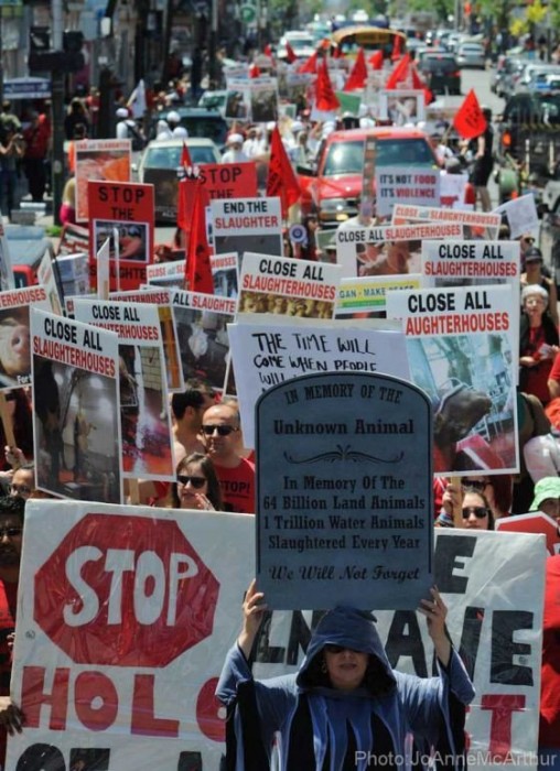 В Торонто прошёл марш за закрытие скотобоен