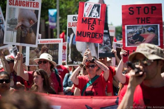 В Торонто прошёл марш за закрытие скотобоен