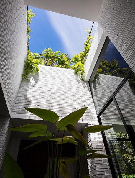 Un proiect interesant pentru clima toridă. Biroul de arhitecți Vo Trong Nghia din Vietnam a elaborat proiectul unei case cu două etaje cu grădină pe acoperiș. Din cauza poluării aerului, grădina soluționează problema și le oferă proprietarilor posibilitatea de a se odihni la natură, fără a ieși afară.