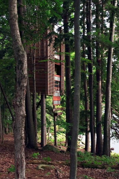 10 удивительных домов на деревьях, в которых захочет жить каждый