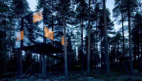10 удивительных домов на деревьях, в которых захочет жить каждый