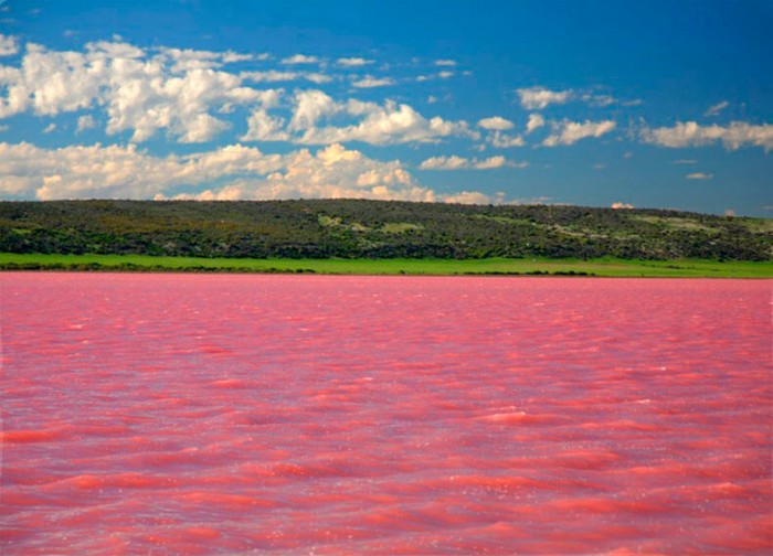 Озеро в России, которое каждый сентябрь - август превращается в «розовый кисель»