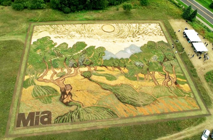 Агроживопись. Самые большие картины в мире от художника Стэна Херда (Фото)