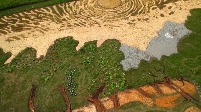 Агроживопись. Самые большие картины в мире от художника Стэна Херда (Фото)