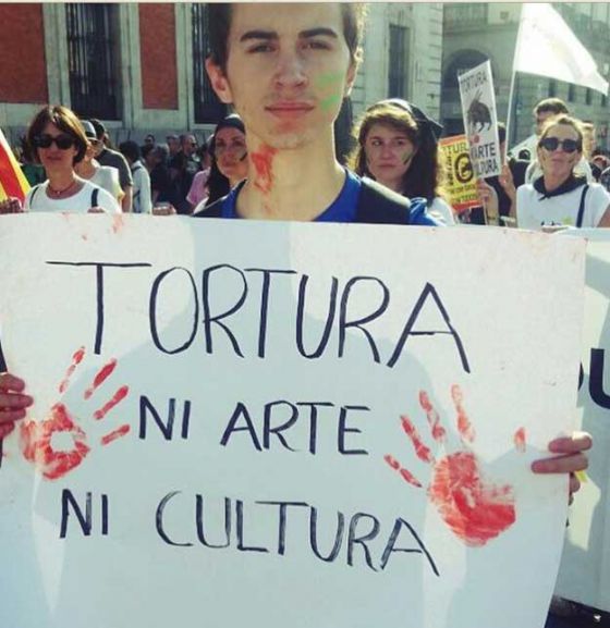 Тысячи испанцев в Мадриде приняли участие в акции против корриды (+Видео)