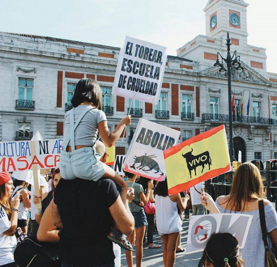 Тысячи испанцев в Мадриде приняли участие в акции против корриды (+Видео)