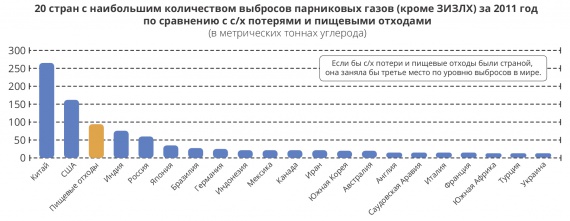 Как решить проблему пищевых отходов?