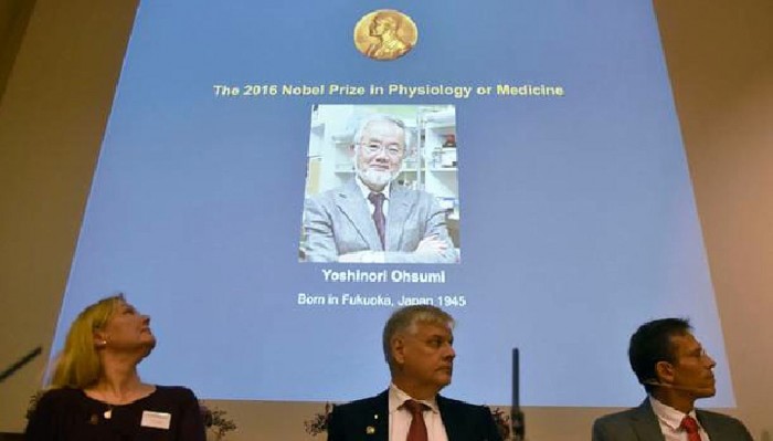 Нобелевская премия 2016 года: лауреат доказал, что поститься полезно