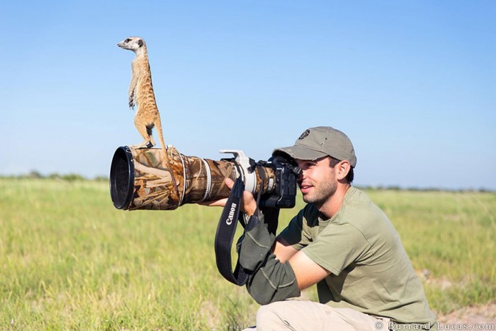 10 доказательств того, что фотограф-натуралист – лучшая работа на свете