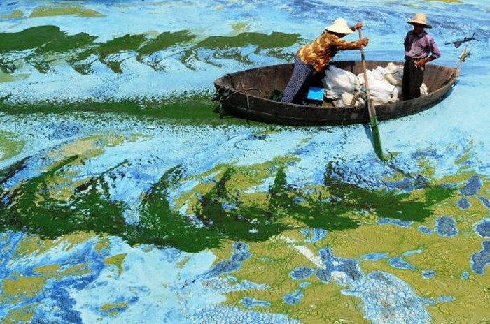 15 ужасных фотографий Китая, которые заставляют задуматься об экопроблемах и о будущем планеты