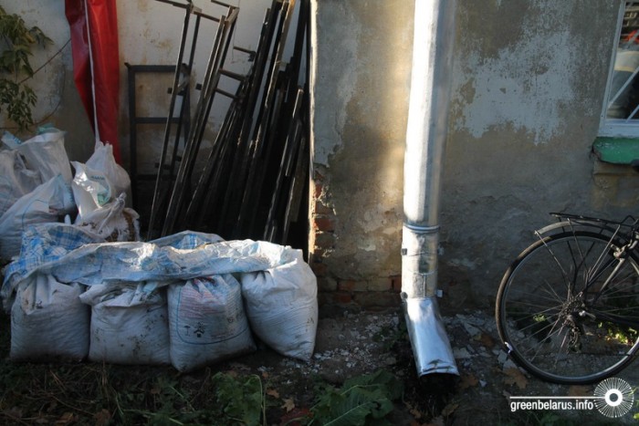 Фоторепортаж: Как кедровая лихорадка охватила минчан