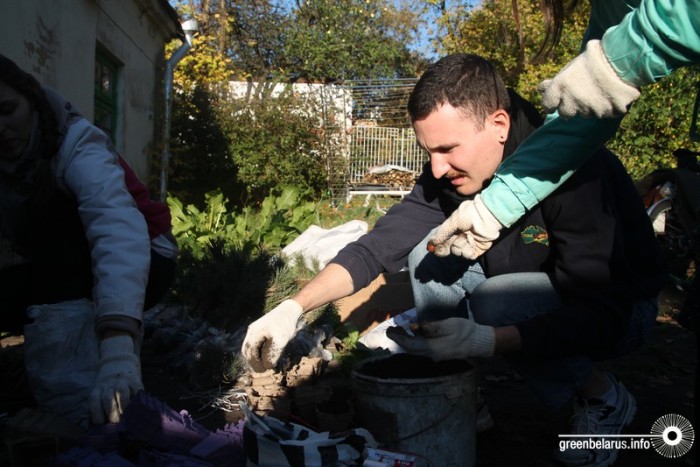 Фоторепортаж: Как кедровая лихорадка охватила минчан