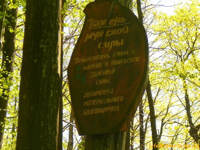 Дольмены Туапсе. Прогулка по эльфийскому лесу и горе Богатырка (+Фото)