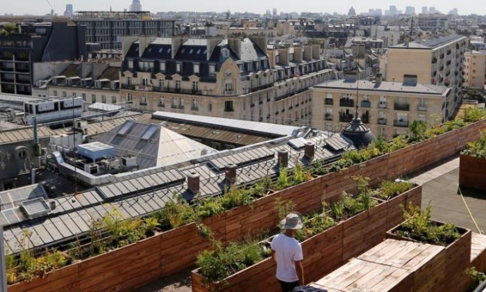 Парижанам предложили заняться садоводством прямо в городе... Поток туристов не остановить теперь! Муниципальные власти торжествуют! 