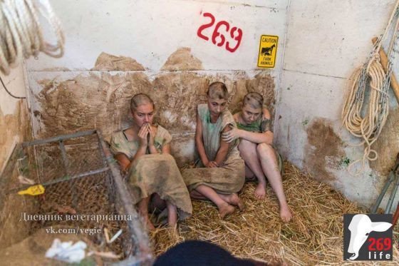 Четыре дня в неволе: 269Life в Израиле провёл акцию "Скот"