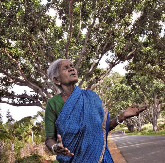 105-летняя женщина, у которой никогда не было детей, стала матерью для 300 деревьев (+Фото)