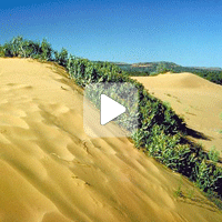 Озеленение пустыни (Видео)