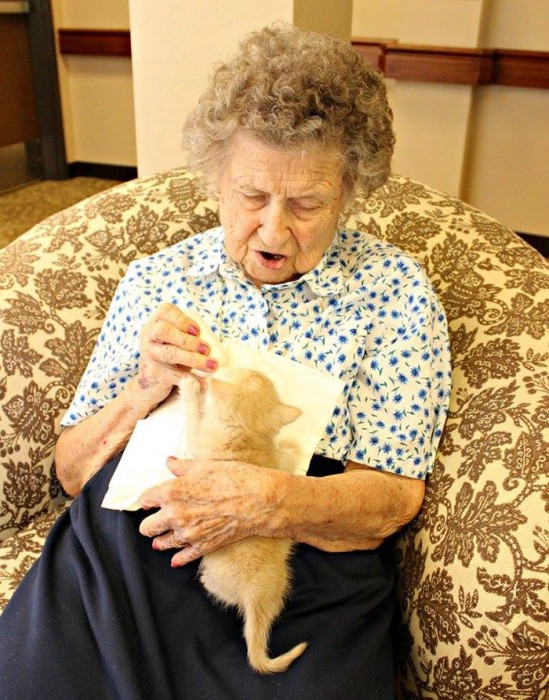 В Аризоне животные подарят свою любовь старикам и старость пройдет в любви и заботе