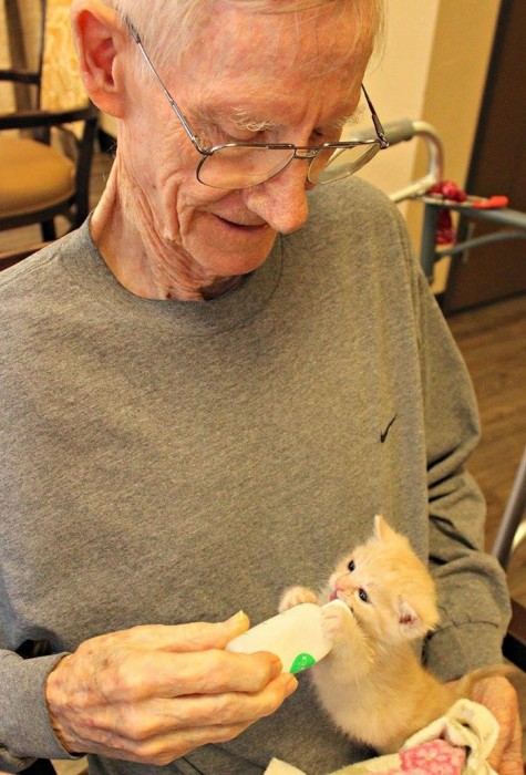 В Аризоне животные подарят свою любовь старикам и старость пройдет в любви и заботе