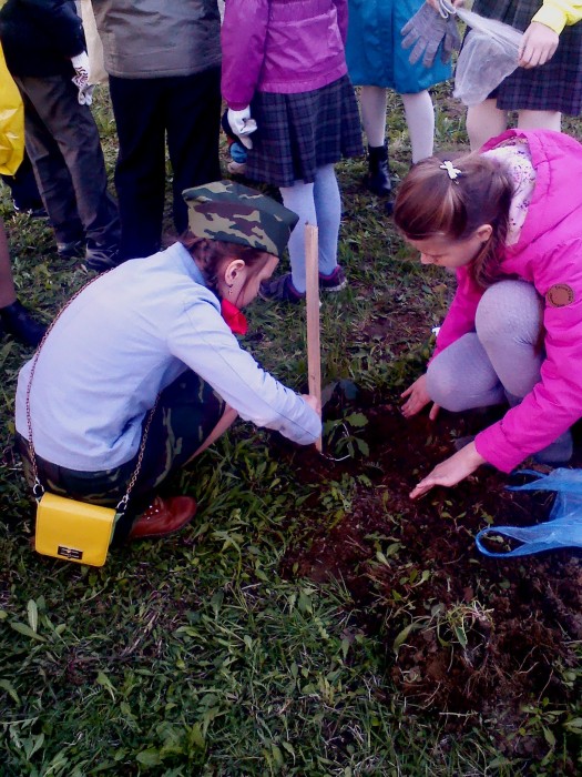 Дети сажают деревья и советуют взрослым