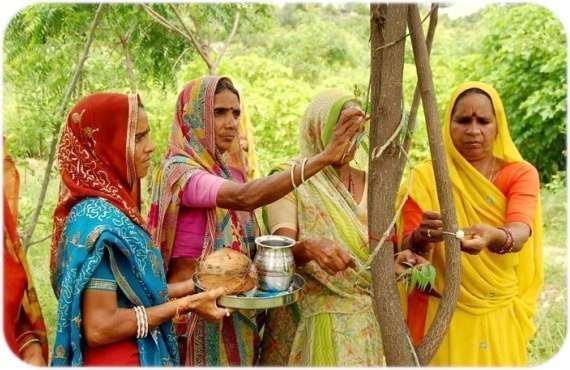 По одному плодовому дереву для каждой новорождённой девочки в Индии (+Фото)