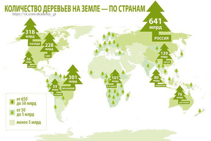 На земле деревьев становится больше. В России рекордный рост 4400 деревьев на 1 человека
