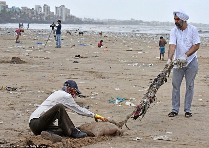 5000 тонн мусора вынесли добровольцы с пляжа в Индии (+Фото)