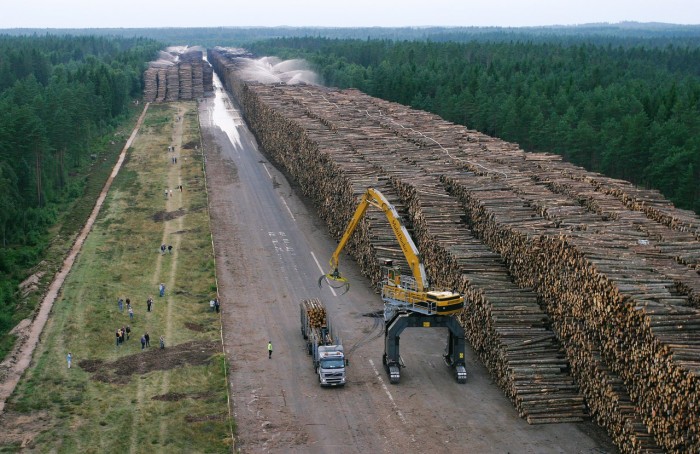 Земля без лесов умирает (+Фото)