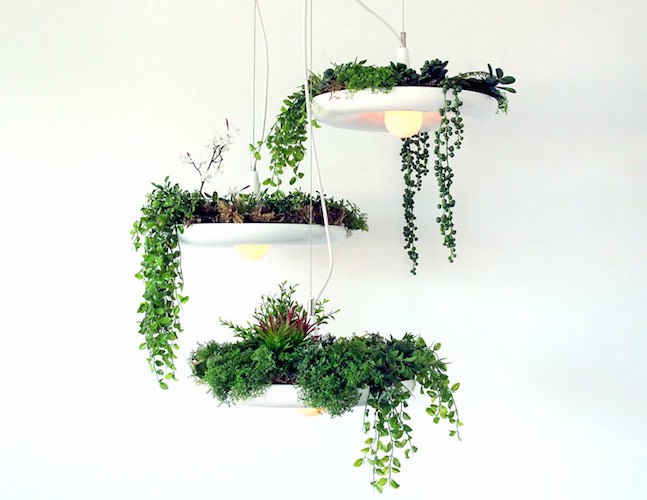 Невероятный проект - люстра для комнатных растений (+Фото)