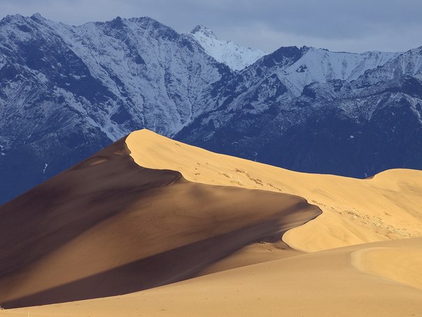 Необычная красота российской "пустыни сахара" - Чарские пески (+Фото)