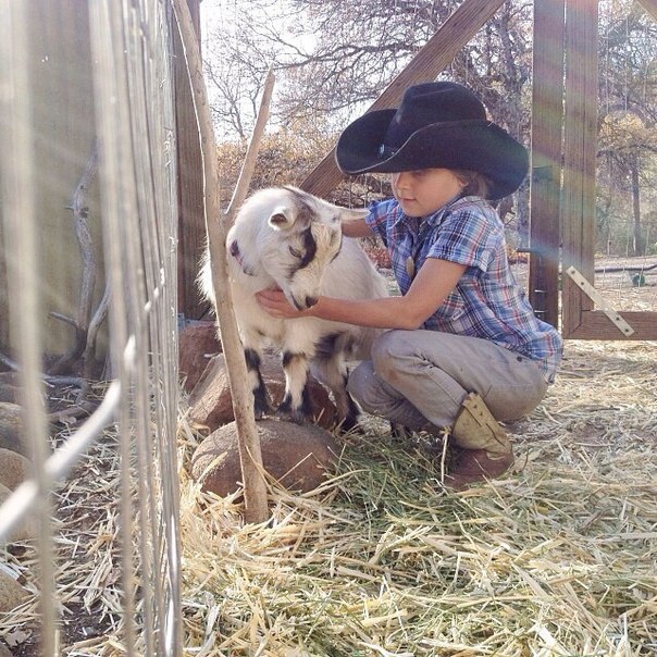 Они уехали жить на природу, чтоб вырастить на природе своих детей. И вот, что вышло... (+Фото)