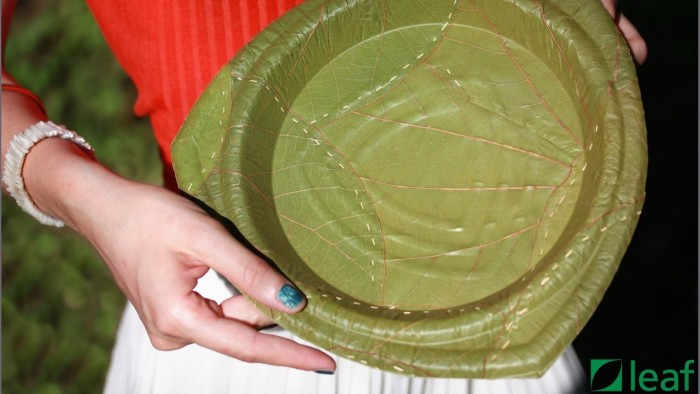 Самая здоровая посуда из обычных листьев (+Фото)