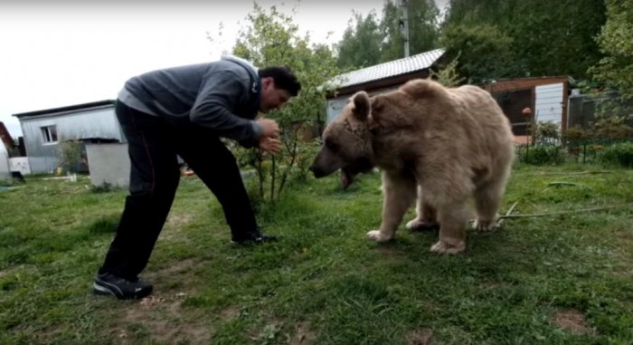 Семья завела себе домашнего медведя и не пожалела (+Видео)