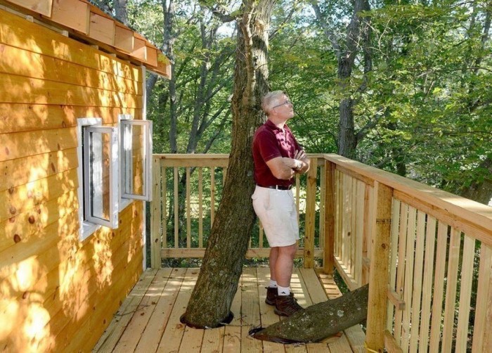Любящий дедушка построил на дереве дом в 3 этажа для своих внуков (+Фото)