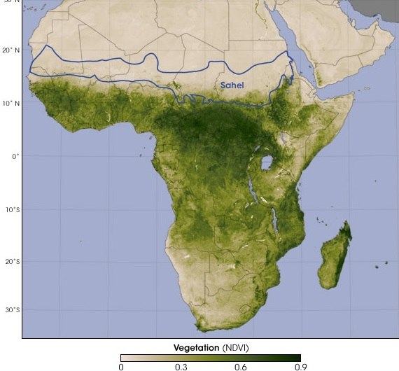 Великая зеленая стена Африки остановит пустыню навсегда! (+Видео)