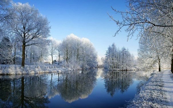 Восхитительные зимние пейзажи под голубыми небесами (Фото)
