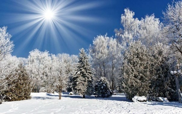 Восхитительные зимние пейзажи под голубыми небесами (Фото)