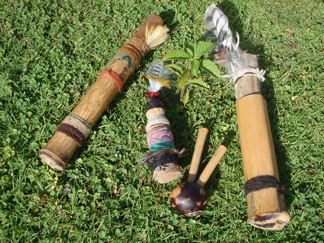 Амазонский шаманизм - наука о медицинских растениях и силах Земли (+Видео)