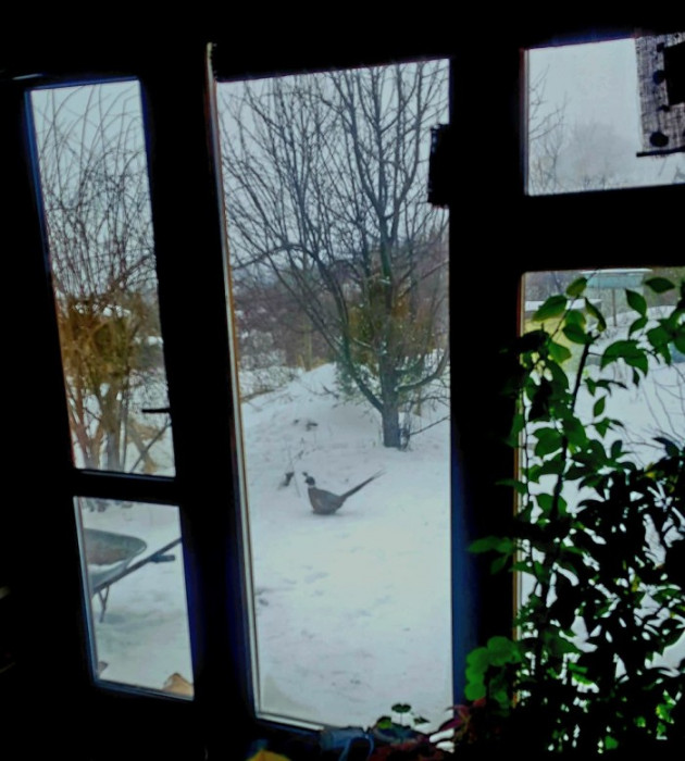 Последний мартовский снег в Счастливом, или в гостях у сказки (+Фото)