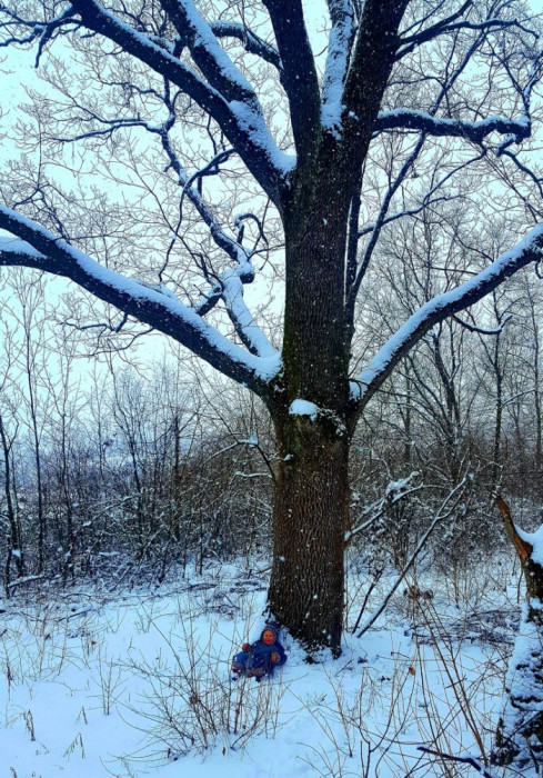 Последний мартовский снег в Счастливом, или в гостях у сказки (+Фото)