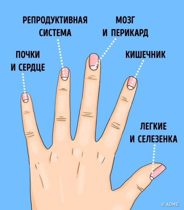 Что знают о говорят здоровье рисунки на ногтях? 