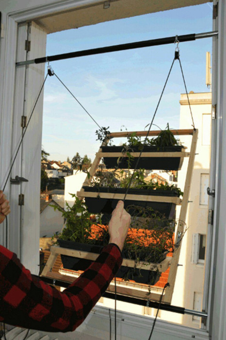 Теперь огород можно завести в городе на окне (+Фото)