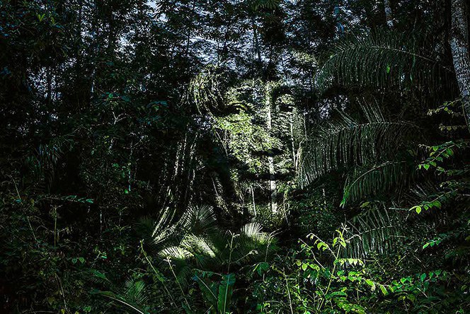 Природный стрит-арт в дождевых лесах Амазонки (Фото)