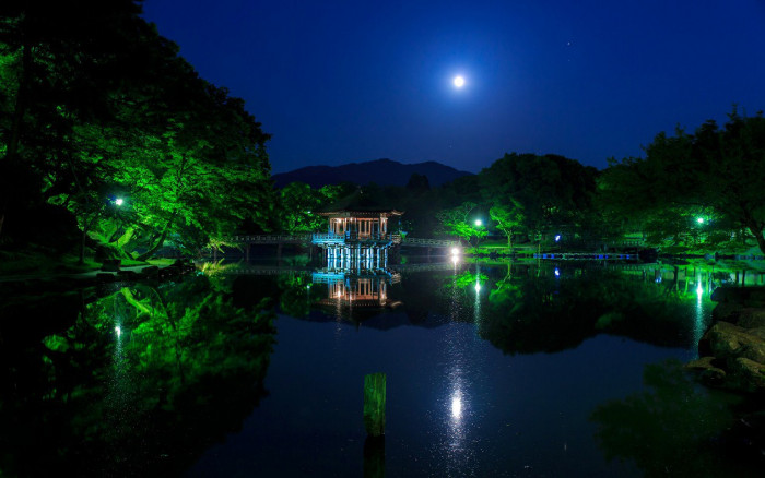 Прекрасная ночь в Японии (Фото)