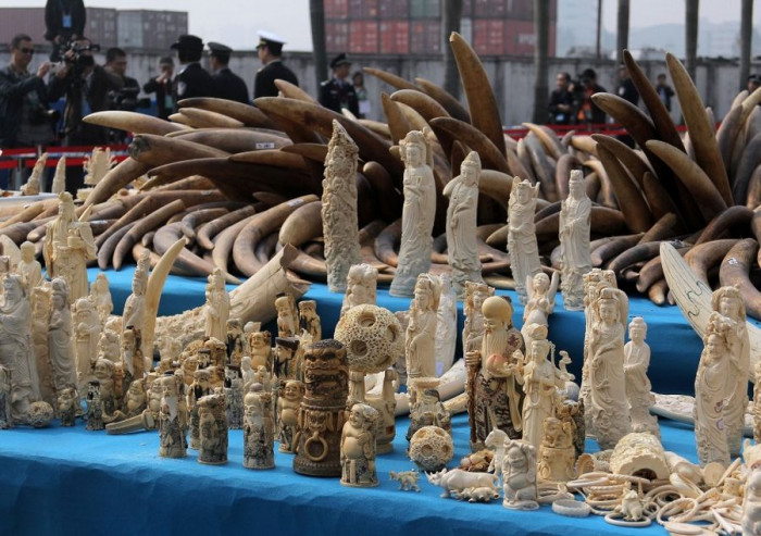 В Китае преподали страшный урок браконьерам слоновой кости (+Фото)