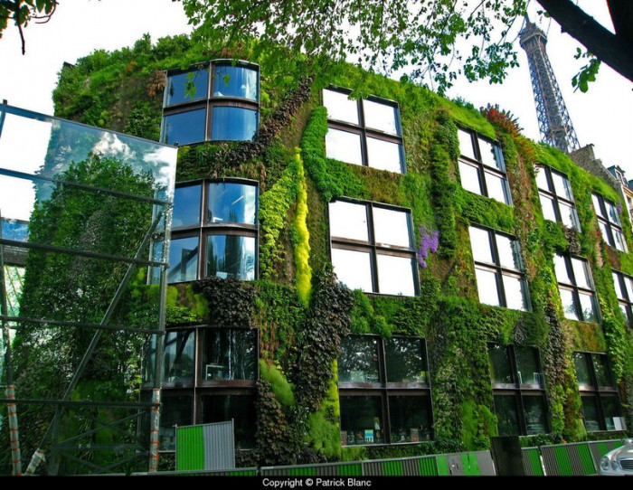 Вертикальное озеленение городов (+Фото)