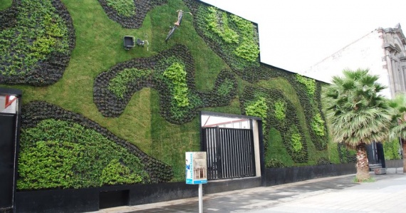 Зеленые стены - лучшая идея для озеленения городов (+Фото)