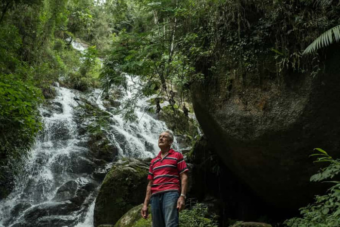 Пенсионер из Бразилии за 40 лет вырастил огромный лес (+Фото)
