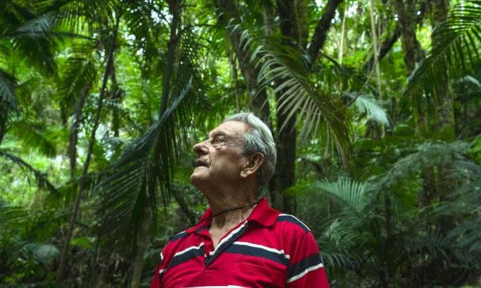 Пенсионер из Бразилии за 40 лет вырастил огромный лес (+Фото)