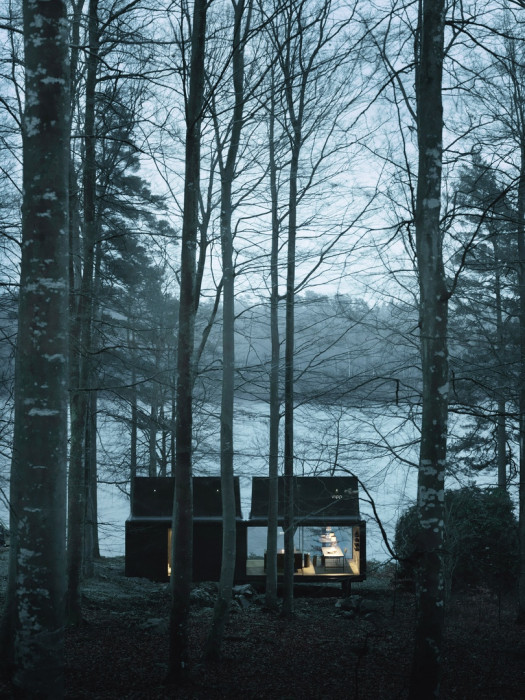 Домики в лесу для подзарядки жизненной энергией (Фото)